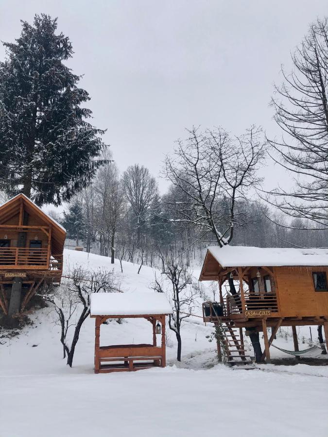 Domeniul Horj Casa Din Deal Moisei Villa Esterno foto